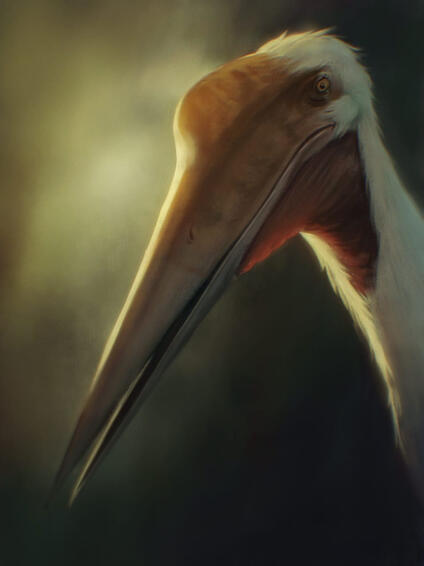 Quetzalcoatlus